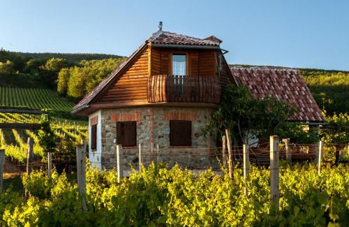 Kutjevo Villa | Robinson Vila Kitokret