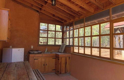 Mascota Cabin | Roca Venados