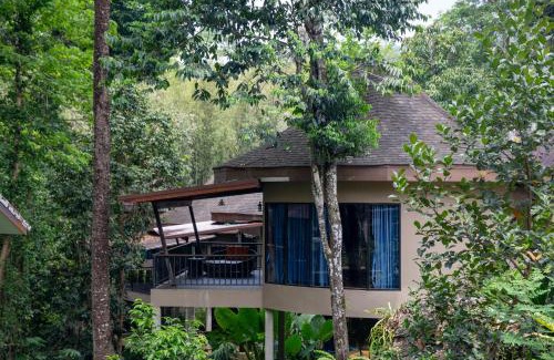 Khlong Sok Resort | Rock and Tree House Resort