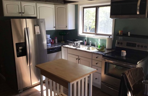 Lake City Cabin | Rock Man Cabin - 3 Bedroom On Quiet Town Street with Large Fenced Backyard