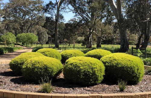 Talunga Apartment | Rockridge, apartment pet friendly semi rural farm stay Set amongst tall gums