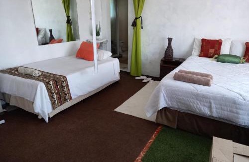 Hibiscus Coast House | Rocks And Aloes Guest Lodge
