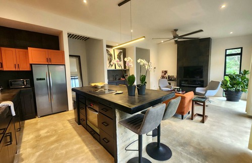 Canton Tilaran House | ROCKSTAR! modern luxury lake view home.