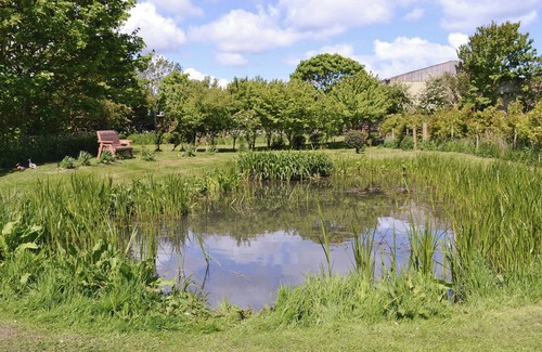Buckton Cottage | Rockville Cottage - 24376