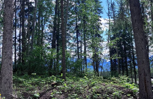 Golden House | Rocky Mountain Camping in Luxury RV Nature at its finest with all amenities!