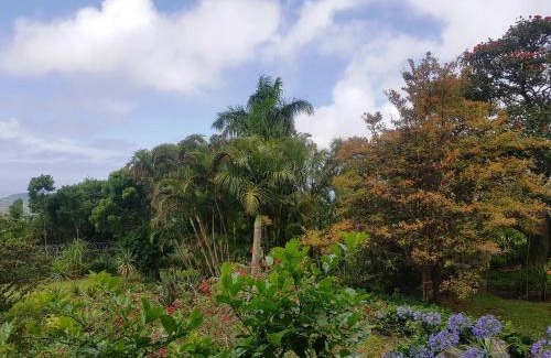 Hibiscus Coast Apartment | Rocky Ridge Farm Cottage