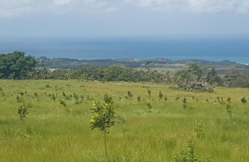 Hibiscus Coast Apartment | Rocky Ridge Farm Cottage