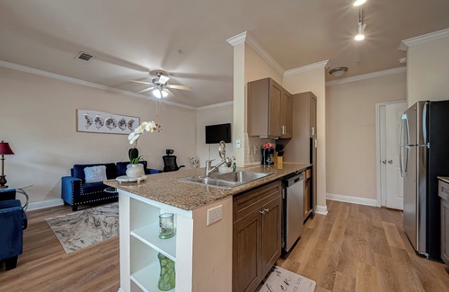 Houston Apartment | Rodeo NRG Med Ctr Galleria 2 Bed 2 Bath Luxury