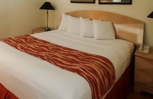 South Miami Hotel | Rodeway Inn South Miami Coral Gables