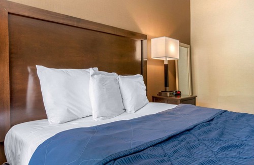 Peterson Park Hotel | Rodeway Inn