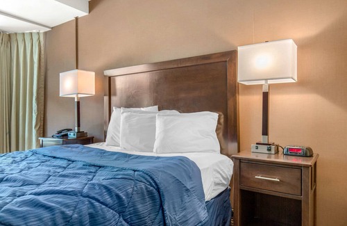 Peterson Park Hotel | Rodeway Inn
