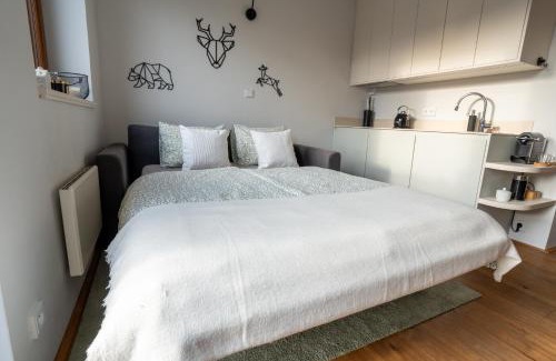Jablonec nad Jizerou Apartment | Rodinný apartmán v srdci Krkonoš