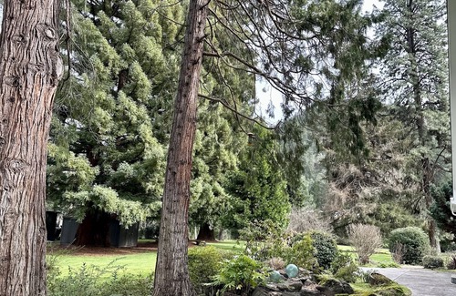 Grants Pass House | Rogue River Retreat- tranquility + modern comfort