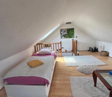 Roissy-en-France House | Roissy CDG, private room 4