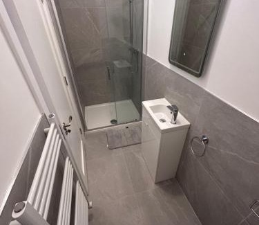 Leinster House | Rokeby lodge 2
