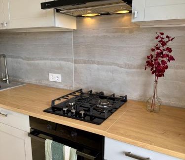 Panevezys county Apartment | Rokiskis- jaukus butas su balkonu