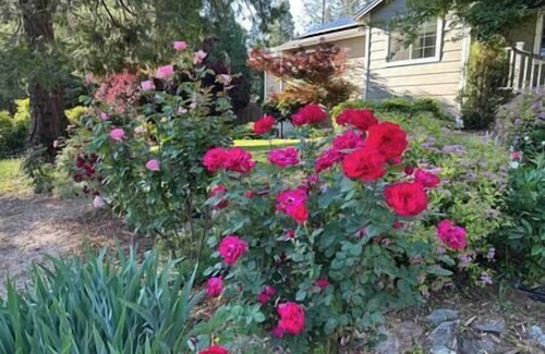 Cedar Ridge House | Rollins Lake Garden Paradise Getaway
