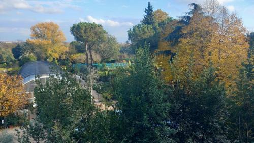 Cassia Bed & Breakfast | Roma Capitale B&B