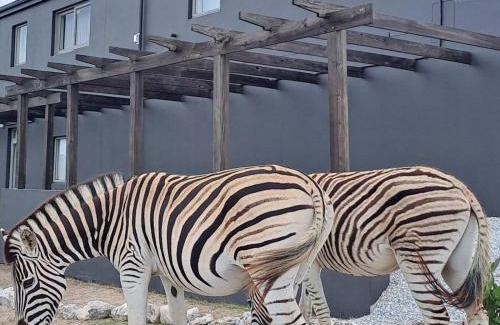 Greater Hermanus House | Romansbaai Beach House