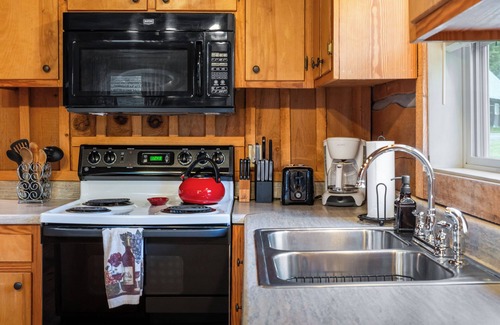 Vesta Cabin | Romantic Cabin Getaway - Fast Wi-Fi - Pet-Friendly