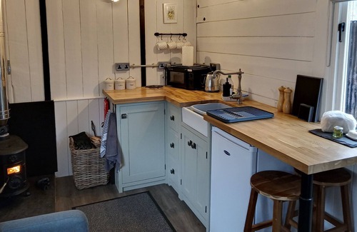 Caio Cabin | Romantic cosy railway carriage with hot tub and garden.