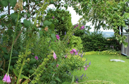 Hellenthal House | Romantic cottage is looking for you! -Wi-Fi, fireplace, infrared cabin