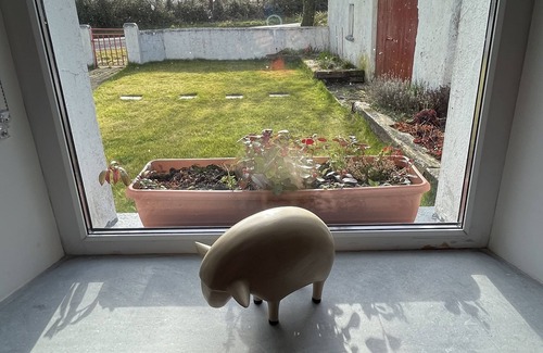 Mohill Cottage | Romantic country cottage for two