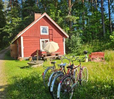 Padasjoki House | Romantic countryside SAUNA Cottage