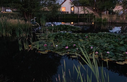 Ignacio Cottage | Romantic get away located on a working farm just 20 minutes from Durango.