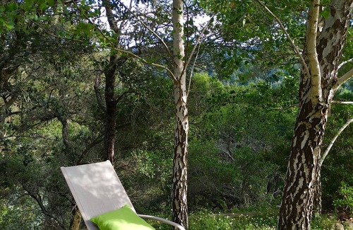 Mill Valley House | Romantic getaway. Hikers/bikers dream. Peaceful. Fresh Air. Nature. Sanctuary.