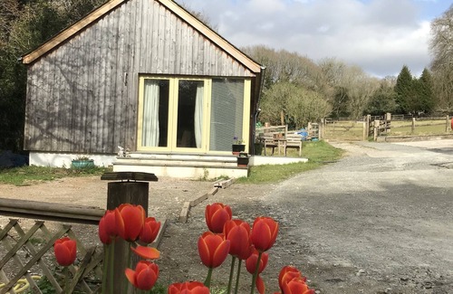 Tavistock Cabin | Romantic hideaway on Dartmoor national park