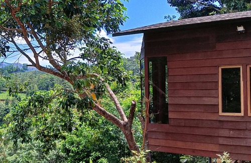 Kaimane Cottage | Romantic Huts on a Mountain with a Natural Stream