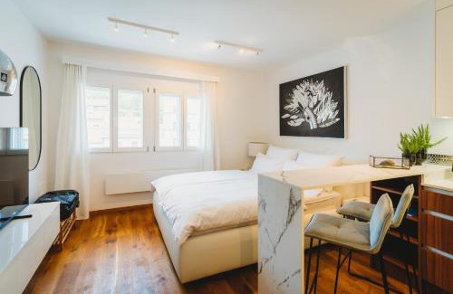 Ljubljana Old Town Apartment | Romantic JUMP Studio overlooking river, free parking
