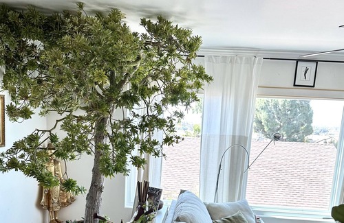 Mission Hills House | Romantic Mission Hills Home - Views of water, Point Loma, and Palm Trees.