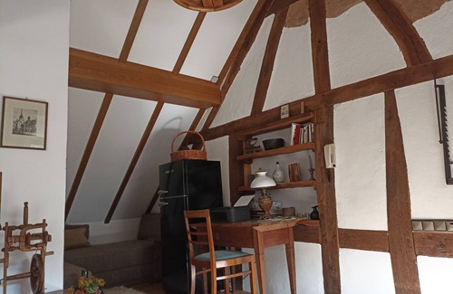 Bad Bertrich House | Romantic, old oil-mill with great courtyard