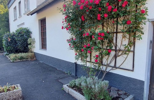 Bad Bertrich House | Romantic, old oil-mill with great courtyard