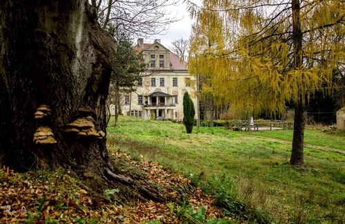 Gryfow Slaski Other | Romantic Renaissance Palace in Rząsiny