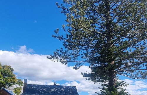 Whitford Cottage | ​Romantic Seaside Cottage: Country Calm, City Close, Retreat