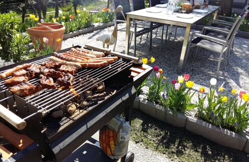 Altach Apartment | Romantic vacation in 2.5 room apartment, wonderful garden with mountain view