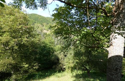 Buces Other | Romantic yurt in Apuseni mountains