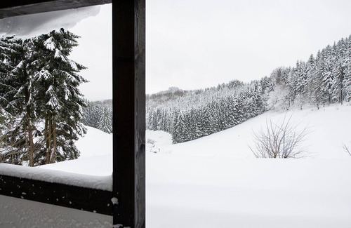 Neuastenberg House | ROMANTIKHÜTTE NEUASTENBERG - wood-burning stove, sauna and cozy factor