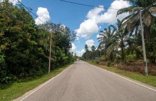 Marang House | Romi Homestay Wakaf Tapai