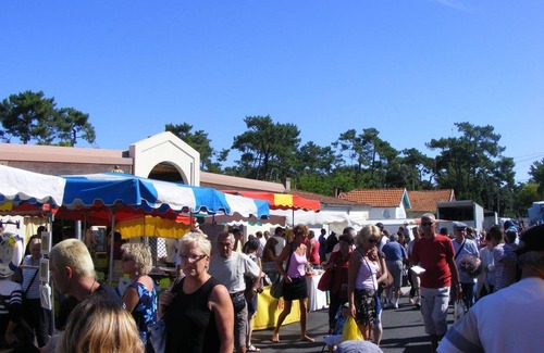 Ronce-les-Bains House | Ronce-les-Bains - TERRACED HOUSE - CLOSE TO BICYCLE PATHS and FOREST