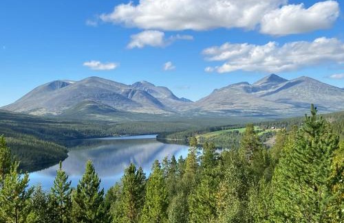 Stor-Elvdal House | Rondane - Øvre Nordli Sollia Friluftsliv