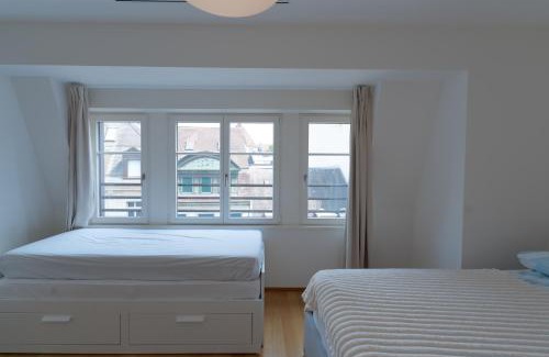 Basel City Centre Apartment | Rooftop Loft City Center - Modern, New Renovated