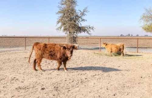 Tulare Hotel | Rooftop Spa Tiny Cargo Home Farm Experience