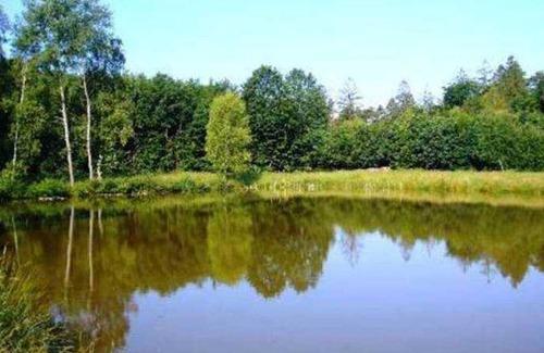 Beuchen Cottage | Room 4 - Gasthaus-Pension Zum Brandweiher