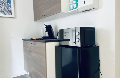 Schmieheim Apartment | Room 5 with shower and shared kitchen