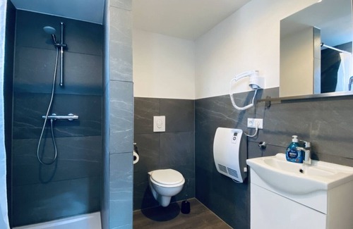 Schmieheim Apartment | Room 5 with shower and shared kitchen