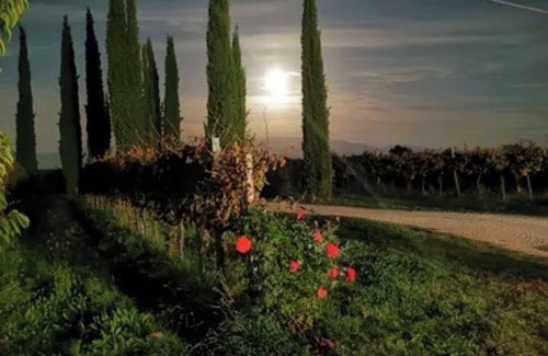 Montefalco Apartment | Room 'Cipriano' with Shared Garden, Wi-Fi and Air Conditioning